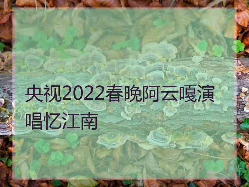 央视2022春晚阿云嘎演唱忆江南