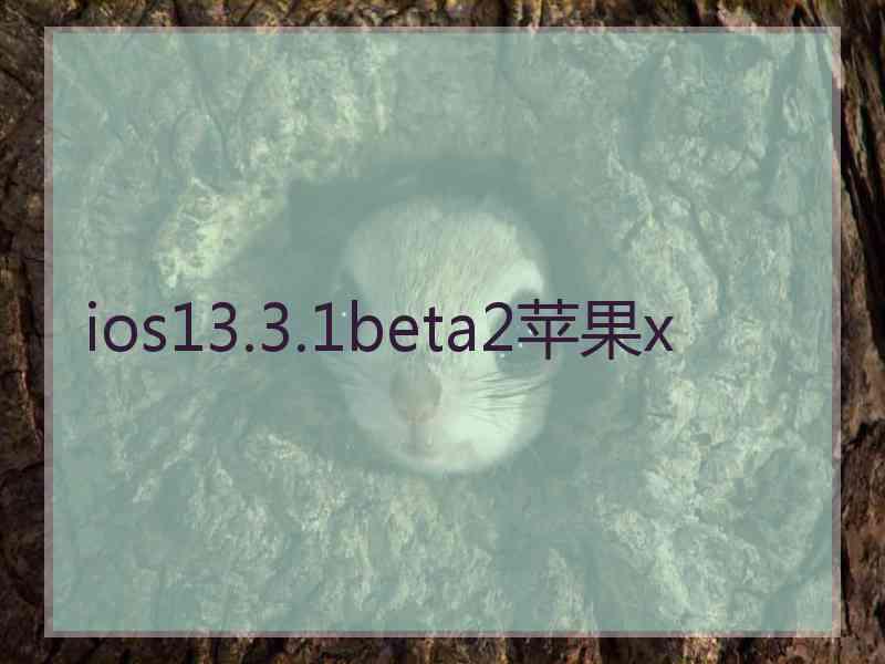 ios13.3.1beta2苹果x