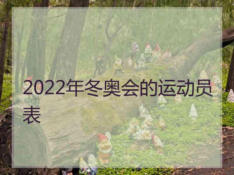 2022年冬奥会的运动员表