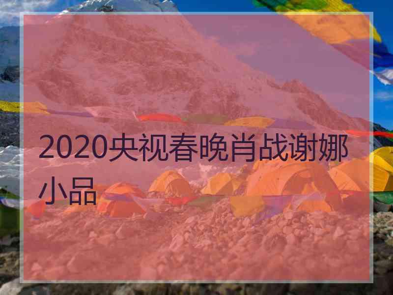 2020央视春晚肖战谢娜小品