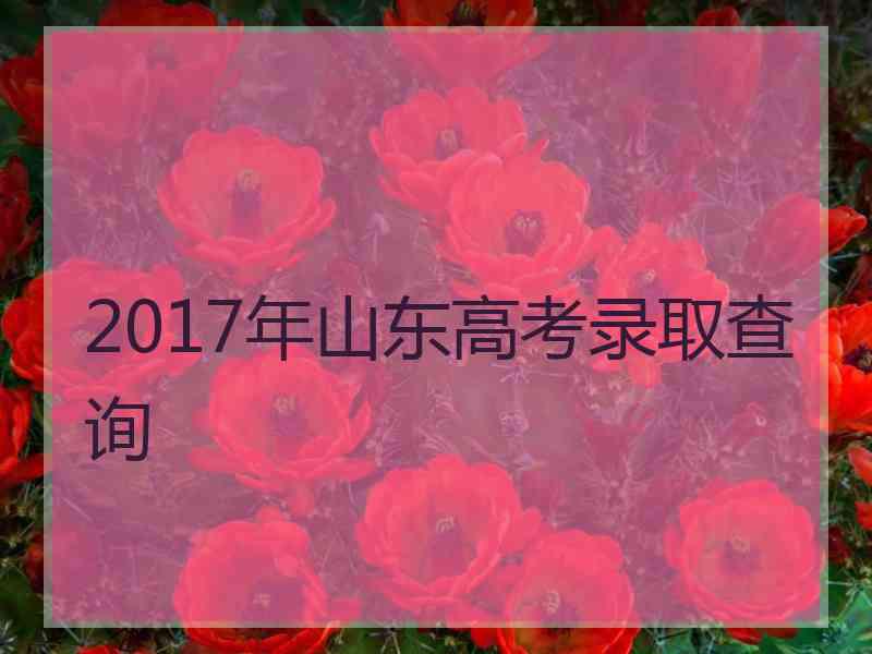 2017年山东高考录取查询