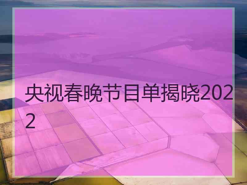 央视春晚节目单揭晓2022