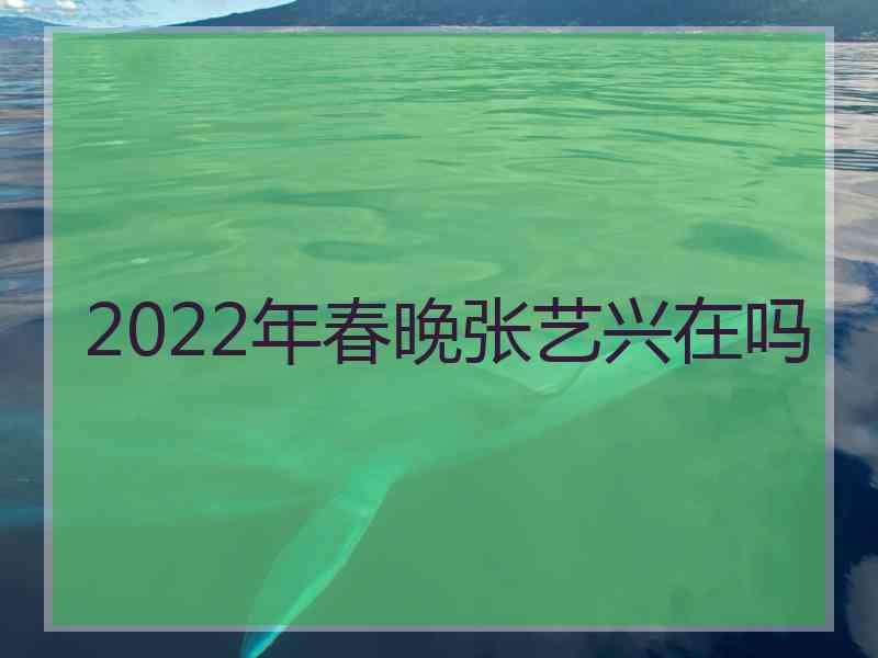 2022年春晚张艺兴在吗