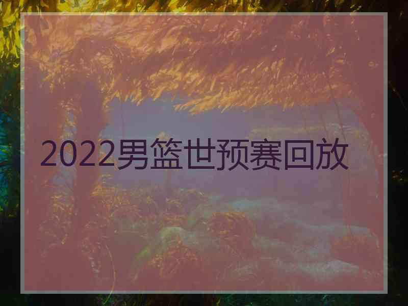 2022男篮世预赛回放