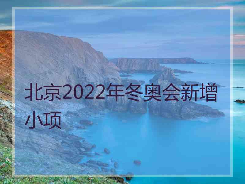 北京2022年冬奥会新增小项