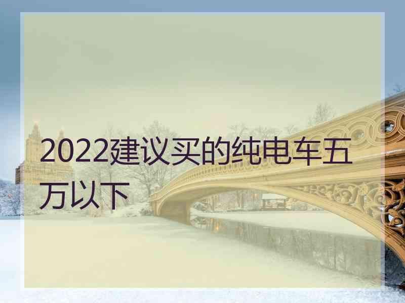 2022建议买的纯电车五万以下