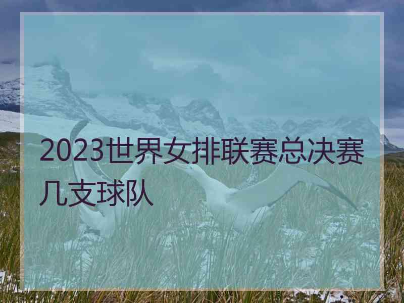 2023世界女排联赛总决赛几支球队