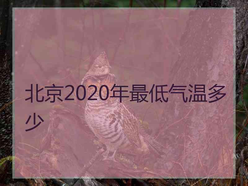 北京2020年最低气温多少