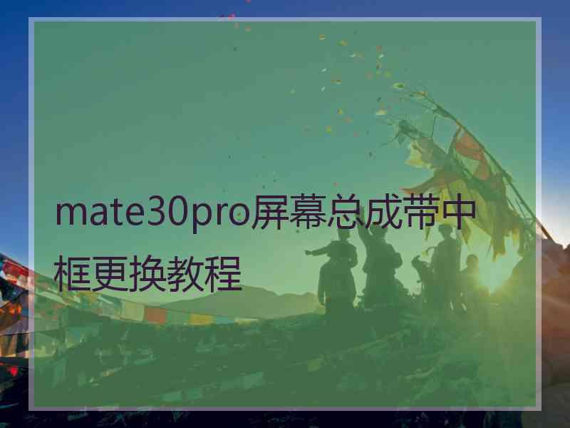 mate30pro屏幕总成带中框更换教程