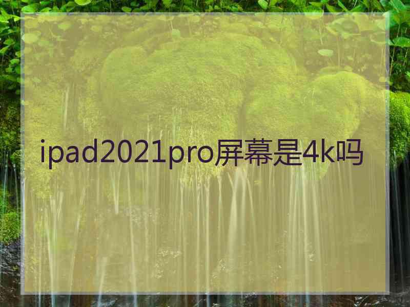 ipad2021pro屏幕是4k吗