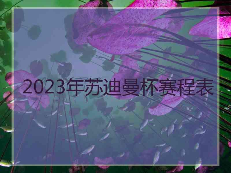 2023年苏迪曼杯赛程表