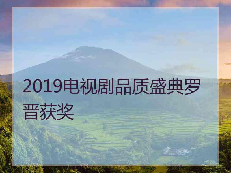 2019电视剧品质盛典罗晋获奖