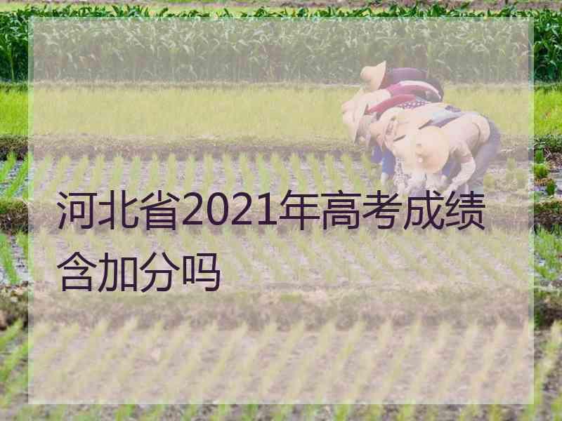 河北省2021年高考成绩含加分吗