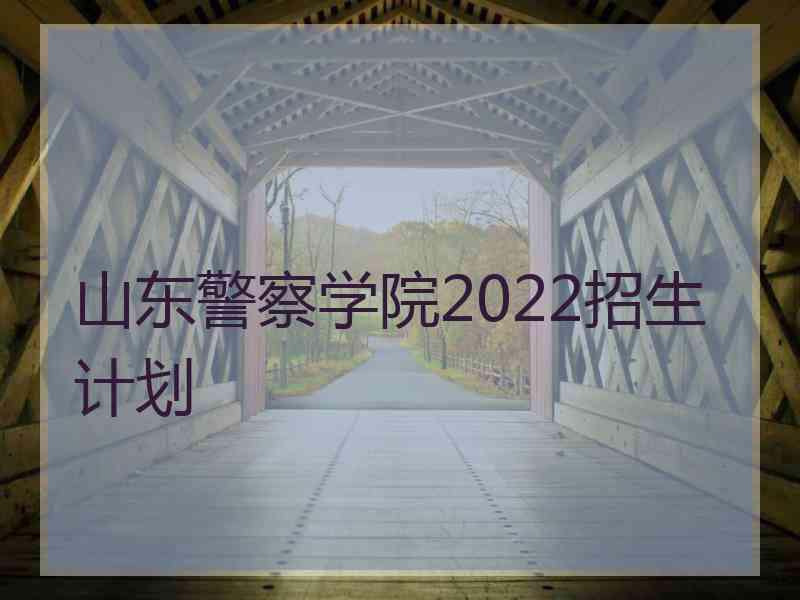 山东警察学院2022招生计划