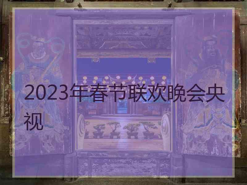 2023年春节联欢晚会央视