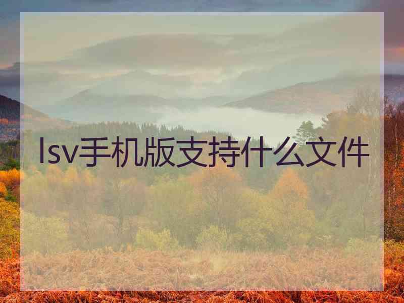 lsv手机版支持什么文件