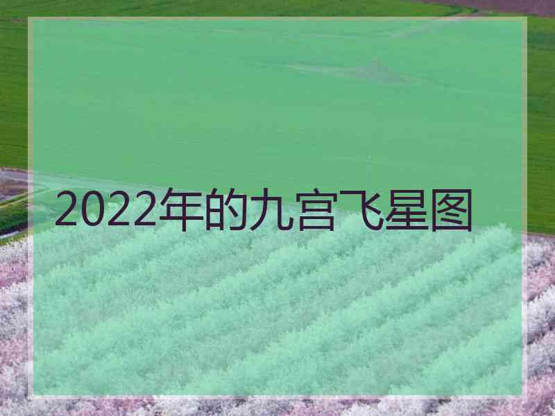 2022年的九宫飞星图