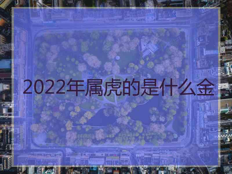 2022年属虎的是什么金