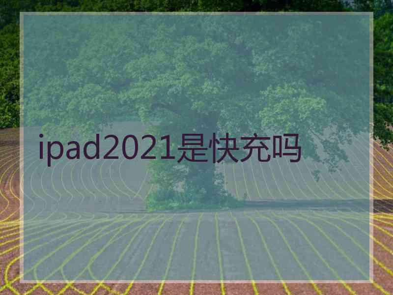 ipad2021是快充吗