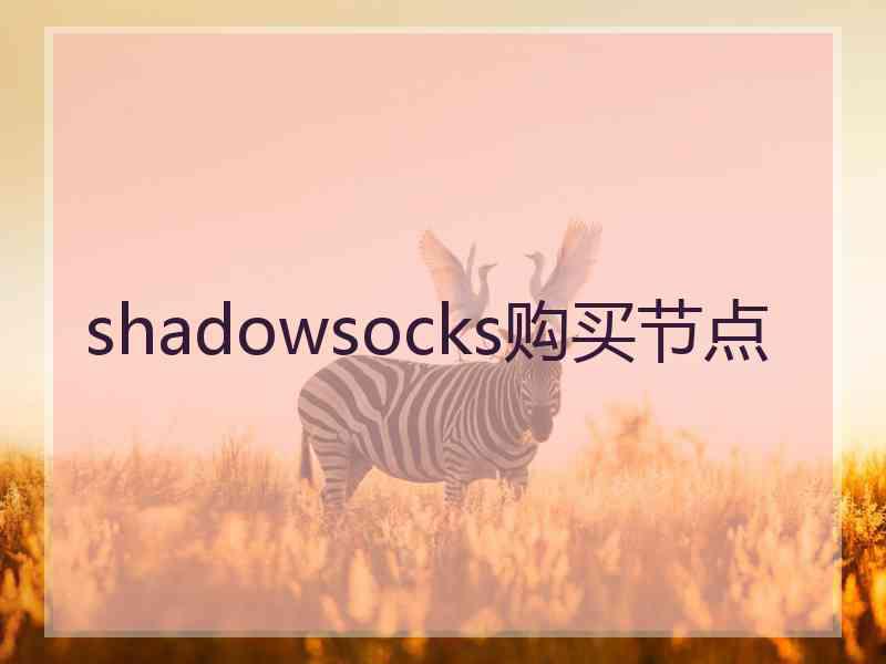 shadowsocks购买节点