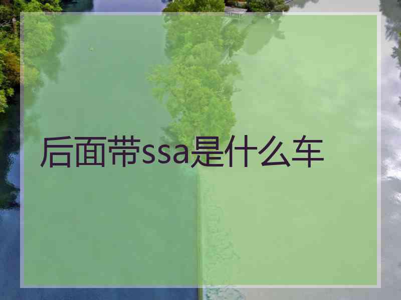 后面带ssa是什么车