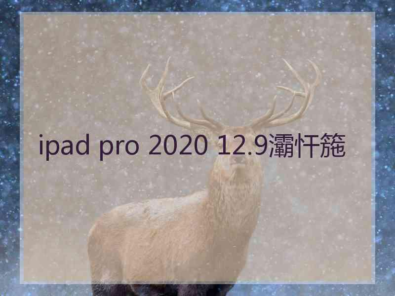 ipad pro 2020 12.9灞忓箷