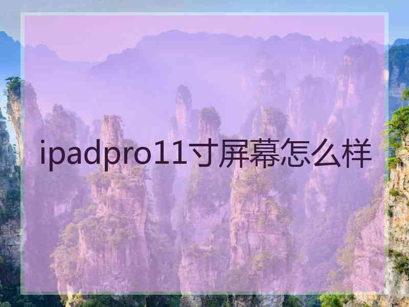 ipadpro11寸屏幕怎么样