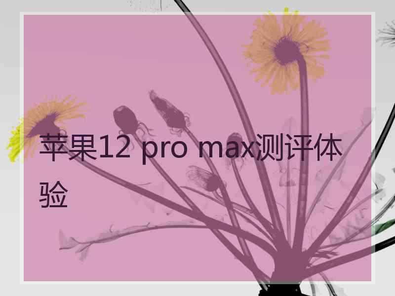 苹果12 pro max测评体验