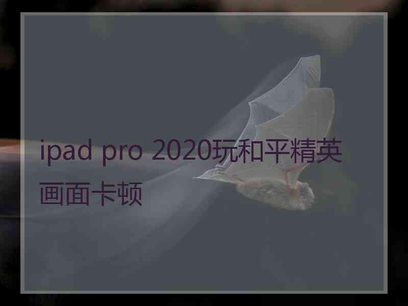 ipad pro 2020玩和平精英画面卡顿