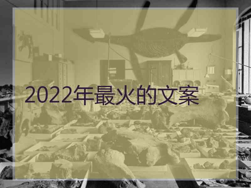 2022年最火的文案