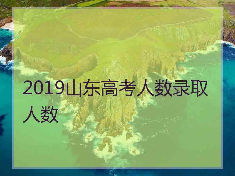 2019山东高考人数录取人数