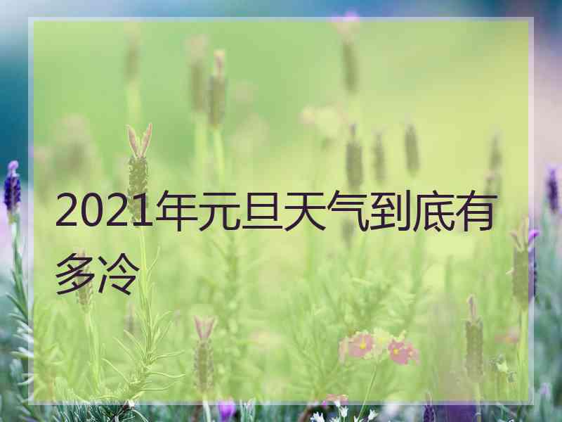 2021年元旦天气到底有多冷