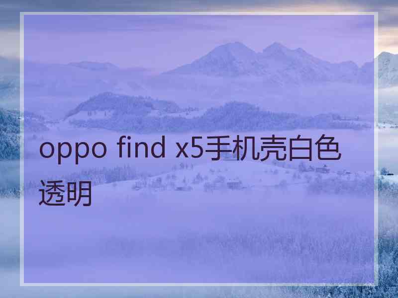 oppo find x5手机壳白色透明