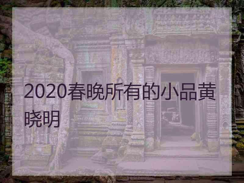 2020春晚所有的小品黄晓明