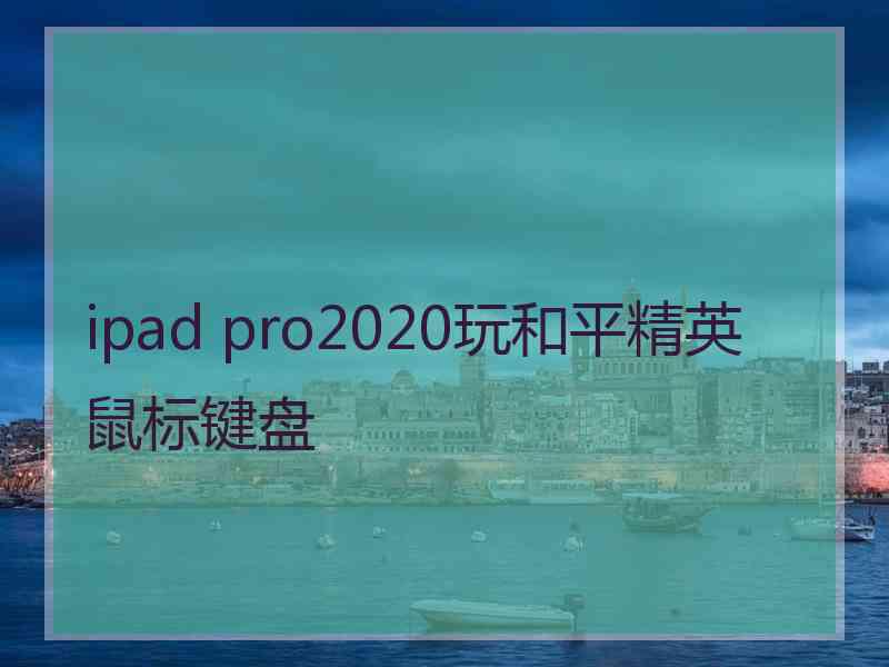 ipad pro2020玩和平精英鼠标键盘