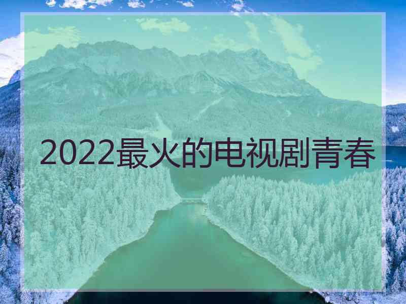 2022最火的电视剧青春