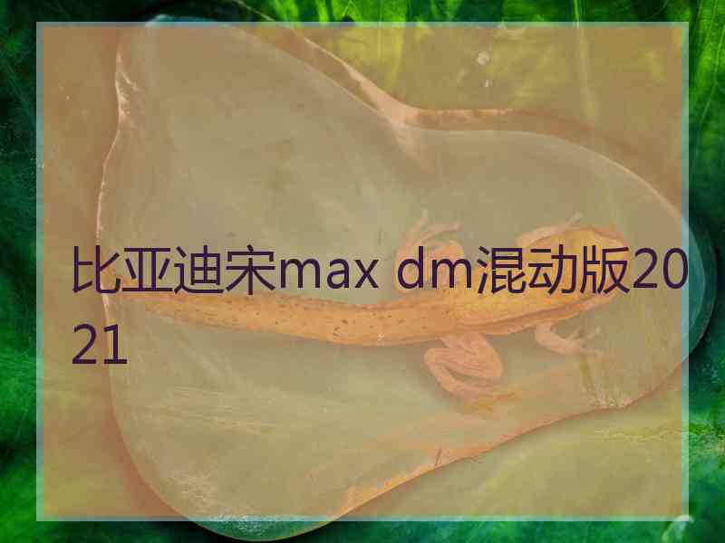 比亚迪宋max dm混动版2021