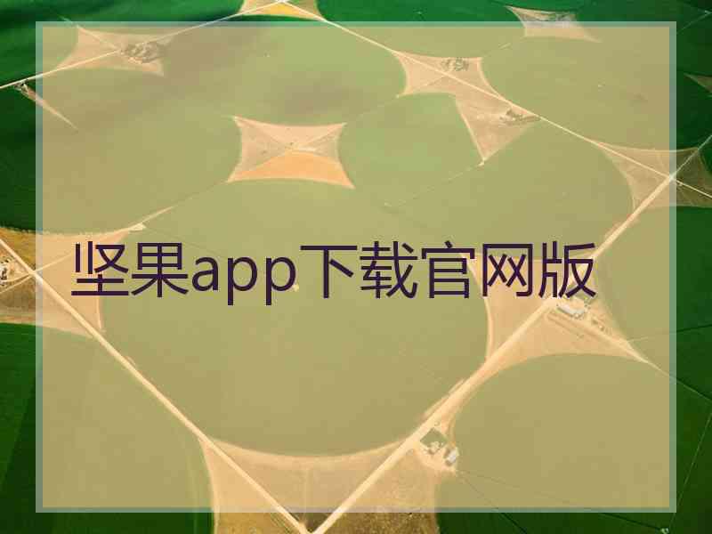 坚果app下载官网版