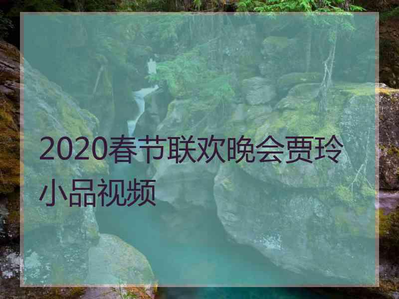 2020春节联欢晚会贾玲小品视频