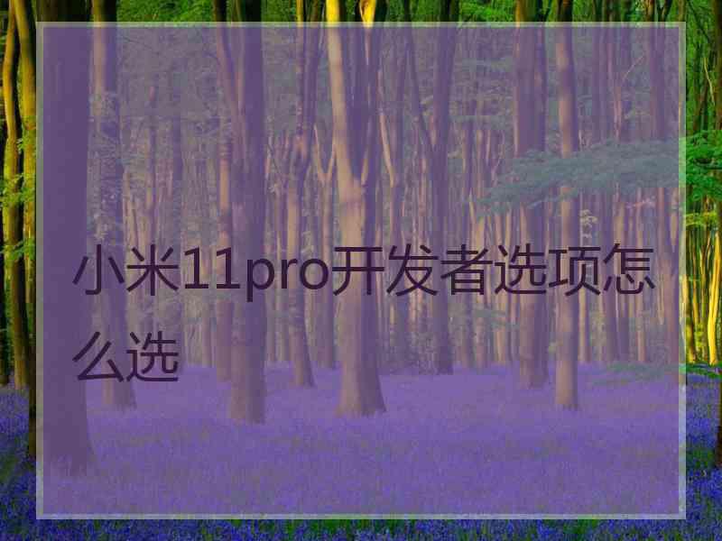 小米11pro开发者选项怎么选