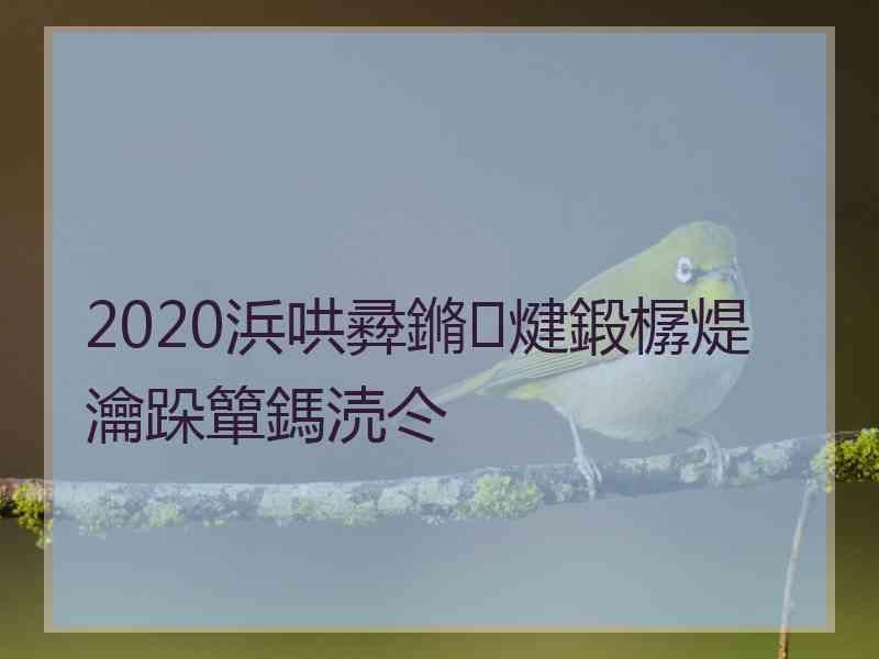 2020浜哄彛鏅煡鍛樼煶瀹跺簞鎷涜仒