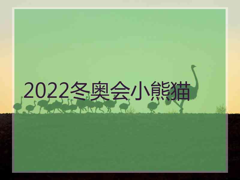 2022冬奥会小熊猫