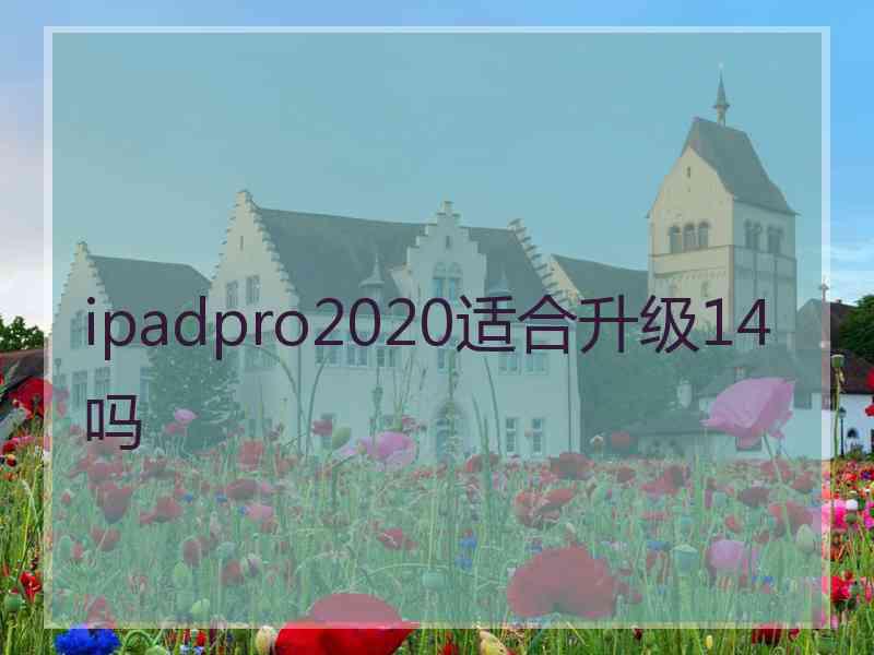 ipadpro2020适合升级14吗