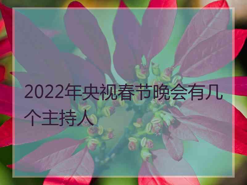 2022年央视春节晚会有几个主持人