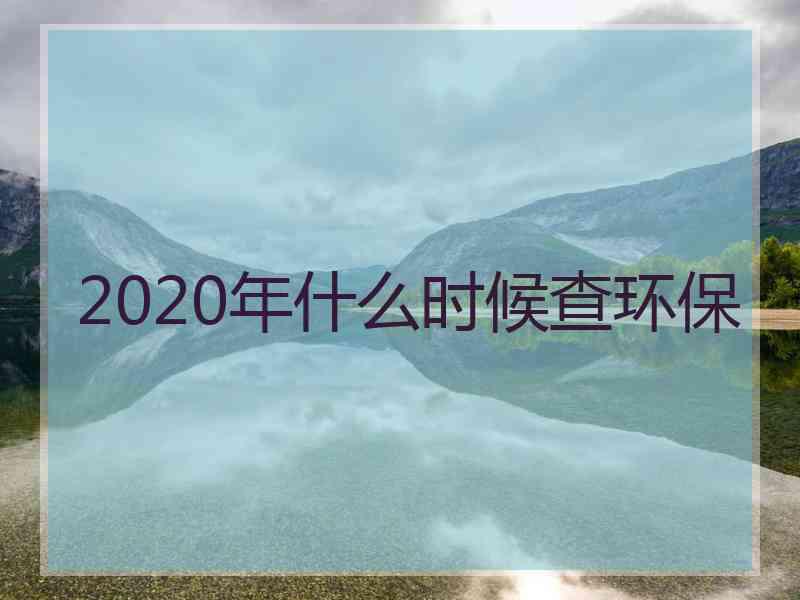 2020年什么时候查环保