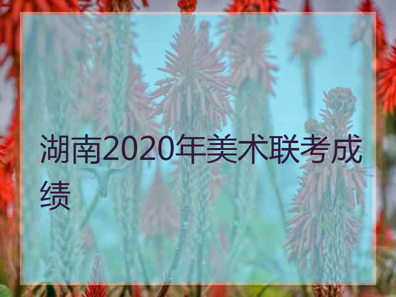 湖南2020年美术联考成绩