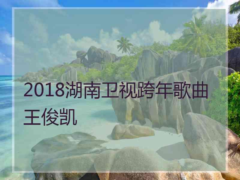 2018湖南卫视跨年歌曲王俊凯