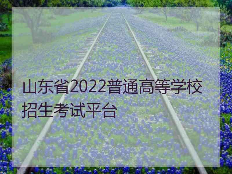 山东省2022普通高等学校招生考试平台