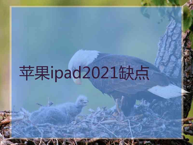 苹果ipad2021缺点