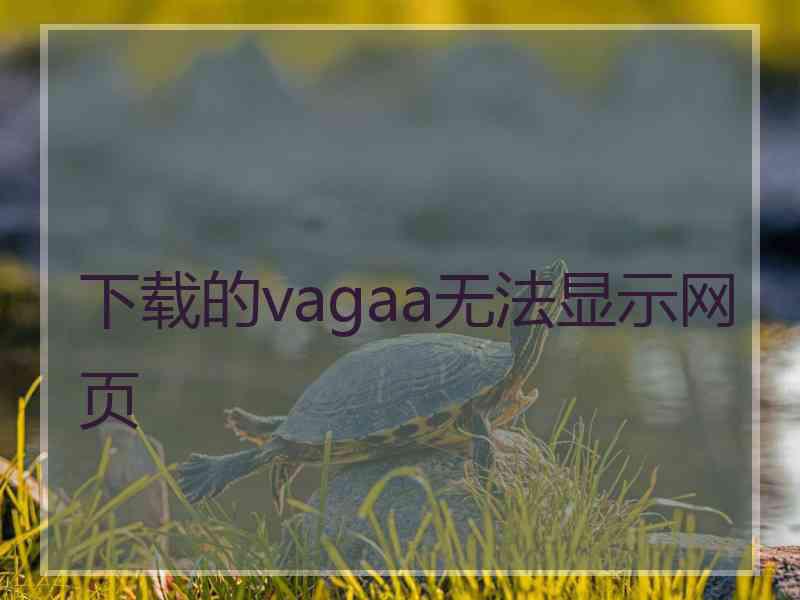 下载的vagaa无法显示网页